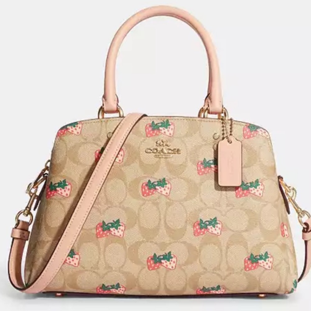 Coach mini Lillie brand new with tags in original packaging